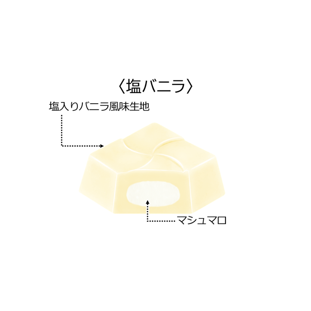 塩バニラ〈袋〉1箱（10袋）